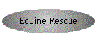 Equine Rescue