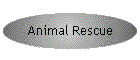 Animal Rescue