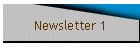 Newsletter 1