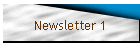 Newsletter 1